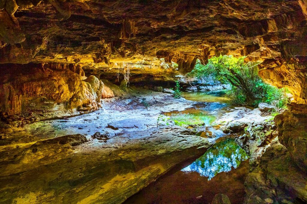 Parque Estadual da Lapa Grande